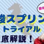 【田倉の予想】5月19日大井競馬　優駿スプリントトライアル 徹底解説！
