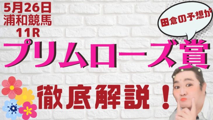 【田倉の予想】5月26日浦和競馬・11R プリムローズ賞 徹底解説！