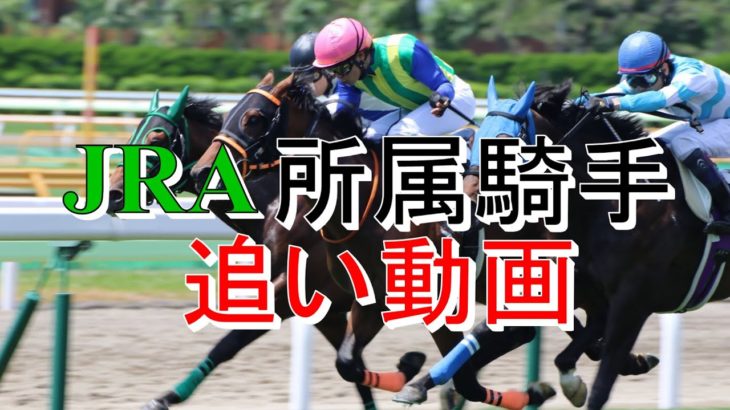 【競馬】JRA 所属騎手の騎乗スタイル 追い動画