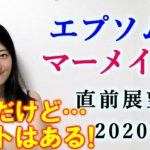 【競馬】エプソムC マーメイドS 2020 直前展望(川崎競馬の関東オークスはブログで予想！) ヨーコヨソー