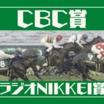 【2020CBC賞/ラジオNIKKEI賞】良血馬の開花？競馬オタクの最終結論！