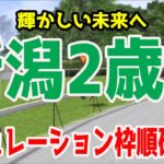 2020 新潟2歳ステークス シミュレーション 枠順確定【競馬予想】