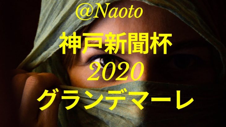 【神戸新聞杯2020予想】グランデマーレ【Mの法則による競馬予想】