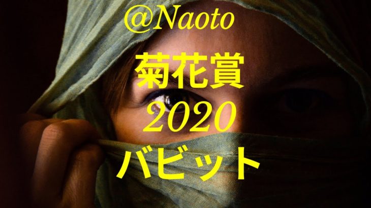 【菊花賞2020予想】バビット【Mの法則による競馬予想】