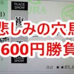 【競馬に人生】スプリンターズステークス85600円大勝負！編