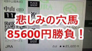 【競馬に人生】スプリンターズステークス85600円大勝負！編