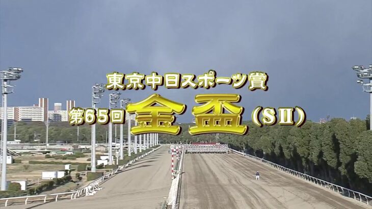 【大井競馬】金盃2021　レース映像