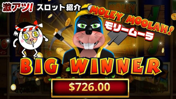 【オンラインカジノ】「MOLEY MOOLAH!」キモカワモグラで賞金獲得250倍!?【激アツスロキャンプVol.19】