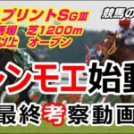 【競馬】函館スプリントS2021 カレンモエ再始動【競馬の専門学校】