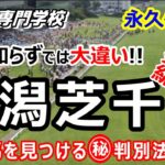 【競馬】日本はここだけ新潟芝1000ｍ直線 初心者にも分かる徹底解説【競馬の専門学校】