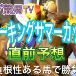 【スパーキングサマーカップ 2021】直前予想〜パンダ競馬TV