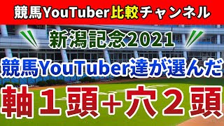 新潟記念2021 競馬YouTuber達が選んだ【軸1頭＋穴2頭】
