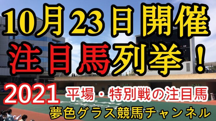 【注目馬列挙】2021年10月23日JRA平場特別戦！菊花賞無念の除外素質馬が揃った阪神9R！