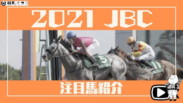 【2021JBC】JBC4競走の注目馬を一挙紹介！！最注目は2歳優駿！？