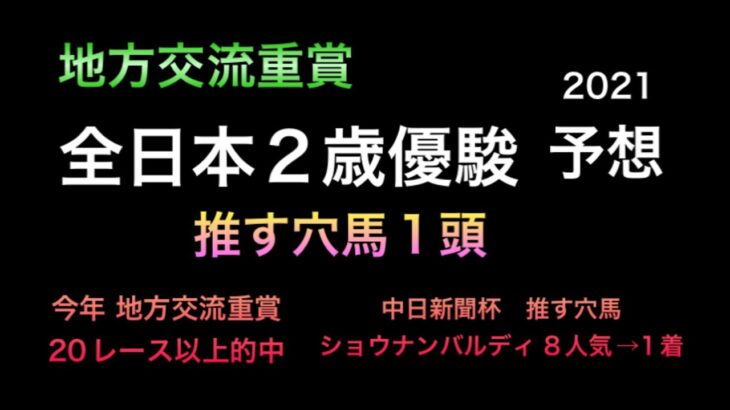 【競馬予想】　地方交流重賞 全日本2歳優駿 2021 予想