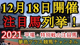 【注目馬列挙】2021年12月18日JRA平場特別戦！阪神・中京は開催されれば土曜日こんな狙いで考えて行きたい